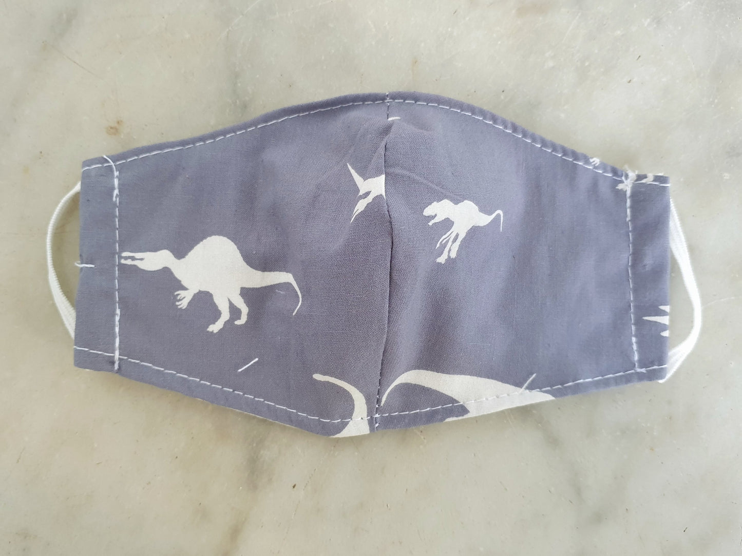 Dinosaur Kids Mask Set of 5