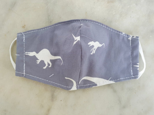 Dinosaur Kids Mask Set of 5